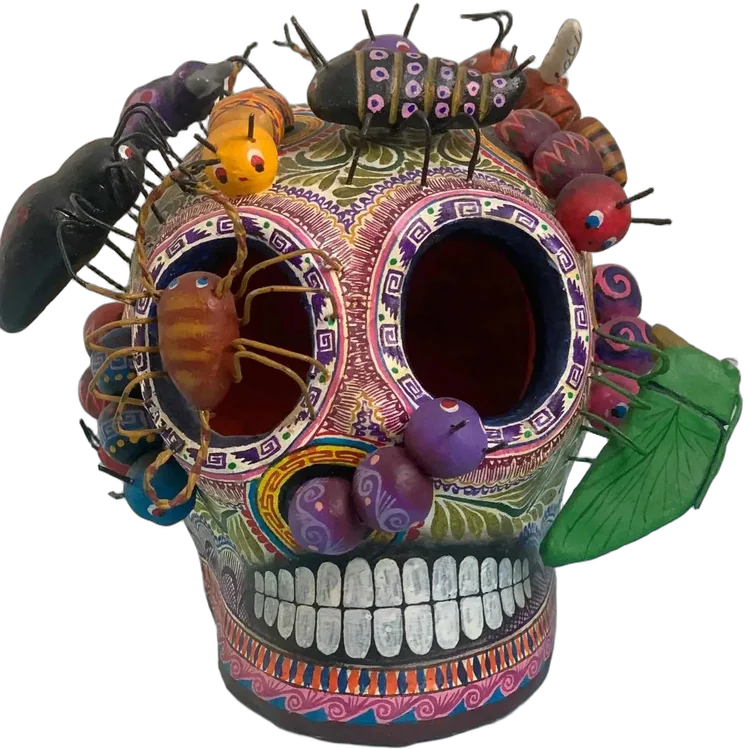 Vintage Arte Popular Calavera E Insectos