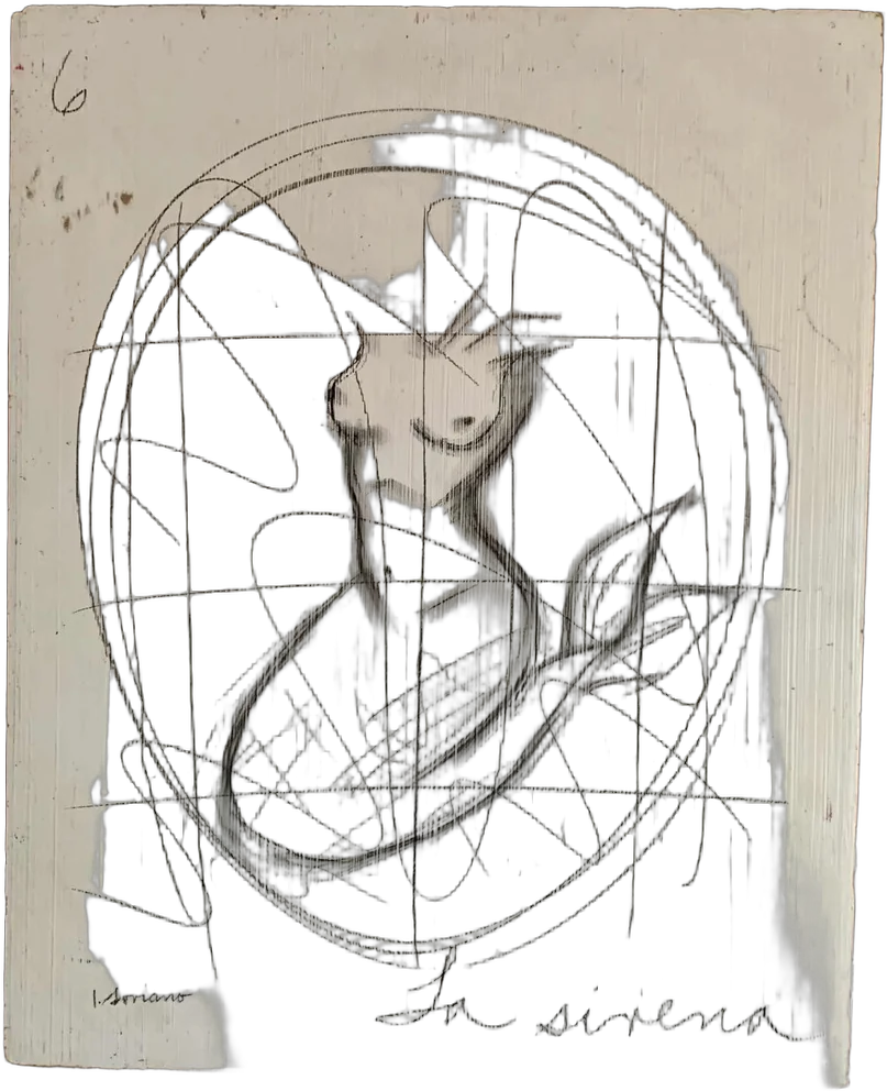Dibujo La Sirena Juan Soriano