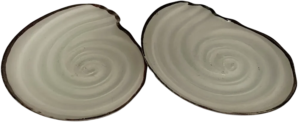 Antiguos Platos Forma Concha Decoración Vintage Blanco Concha