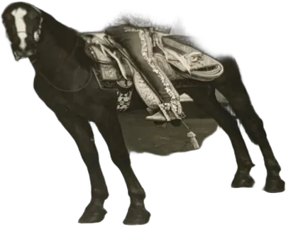 Antigua Fotografía Jinete Charro — imagen 1