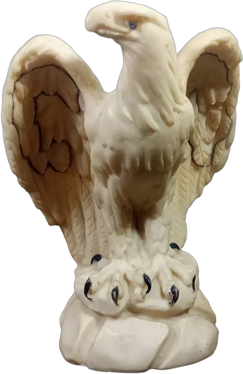 Vintage Águila Calva Esotérica Con Moneda, Buda Y Estrella Beige
