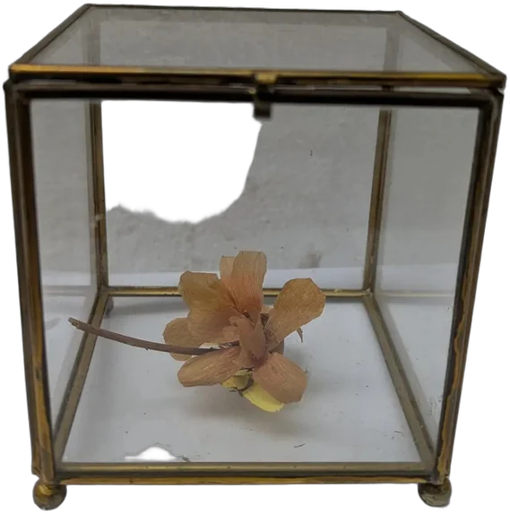 Vintage Caja Alhajero Latón Y Vidrio Cubo Patas De Bola Dorado