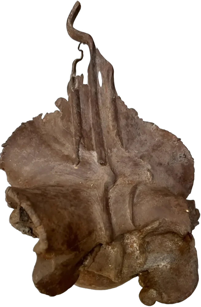 Antigua Escultura Mantaraya Arte En Herrería Ocre