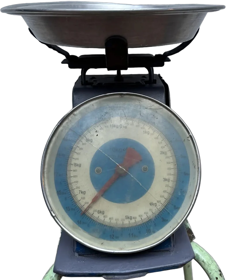 Vintage Báscula De Cocina Solo Decorativa Azul Acero 10 Kg