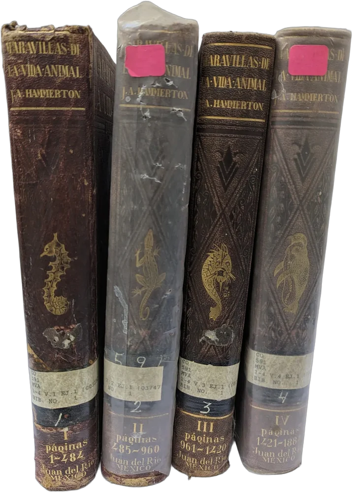 Antiguo Lote Tomos Maravillas De La Vida Animal Hammerton — imagen 1
