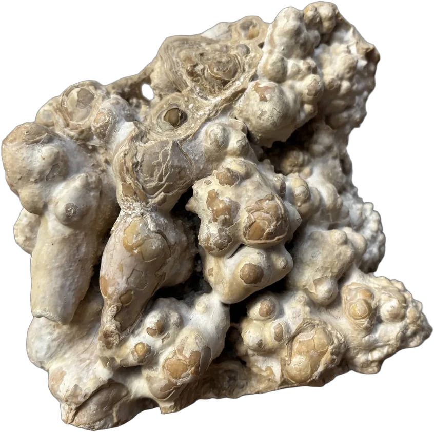 Piedra Mineral Estalactita Decoración Crema 12 Cm 10 Cm — imagen 1