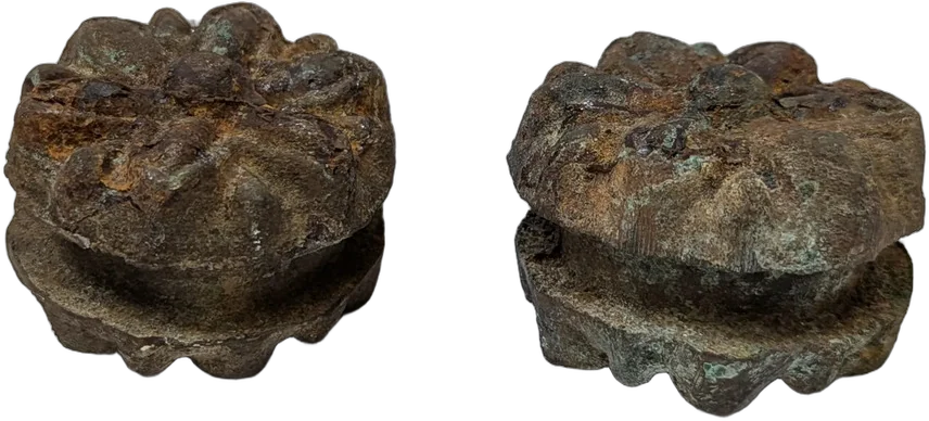 Antiguo Par De Rosetones Para Puerta O Portón De Fundición