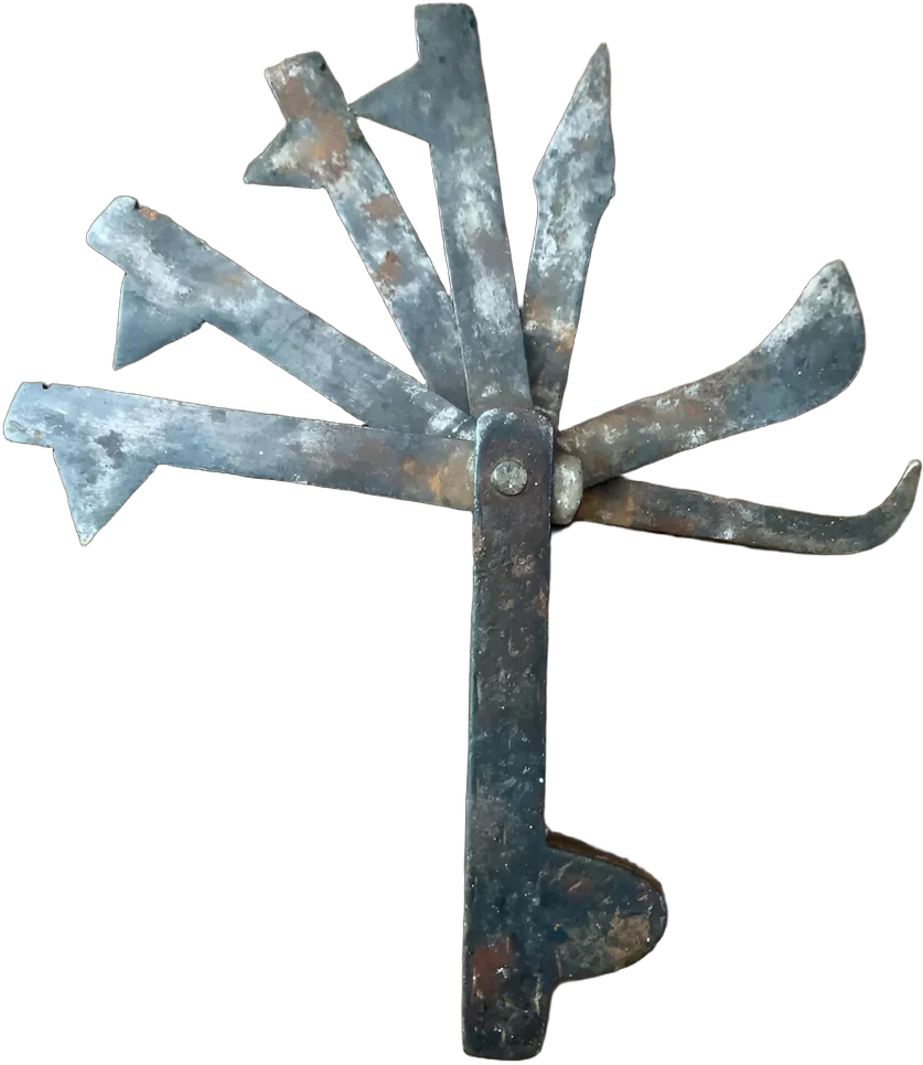 Antigua Instrumental Navajas Uso Médico Veterinario S Xix Gris Oscuro