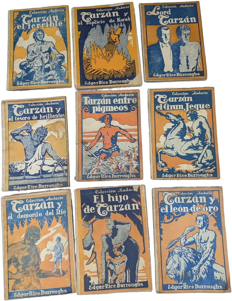 Antiguo Lote De 9 Libros Tarzan Coleccion Audacia Burroughs