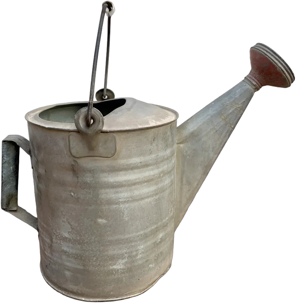 Vintage Regadera Para Plantas Zinc Gris