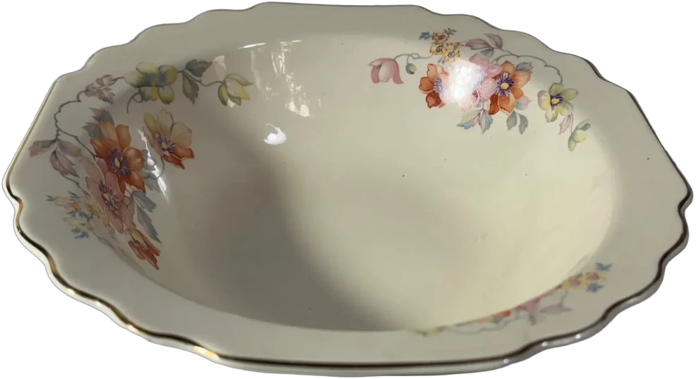Antigua Tazón Porcelana 23 Cm, Lido Usa Multicolor