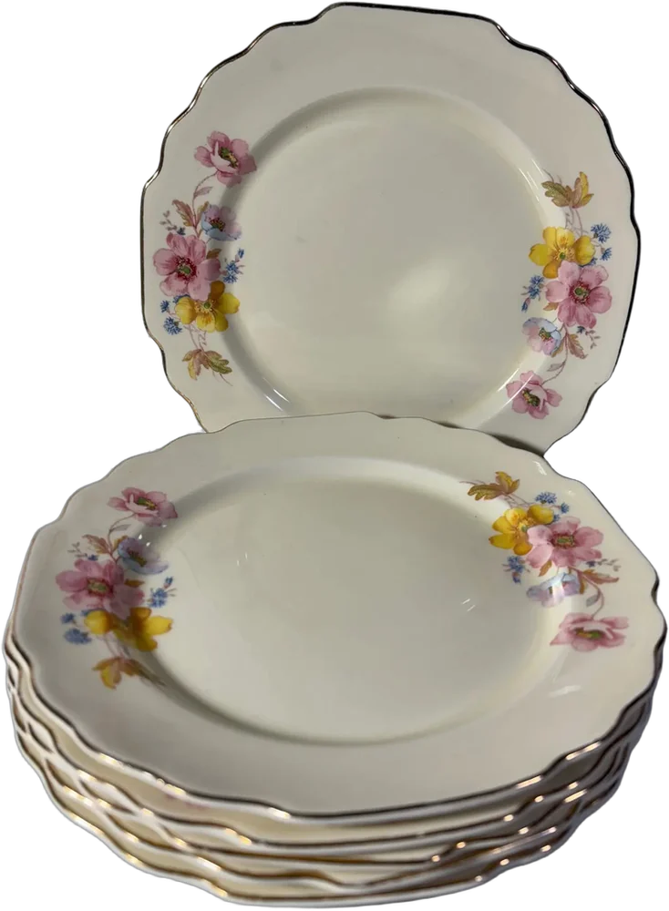 Antiguos De Platos Porcelana 20 Cm, Lido (6)