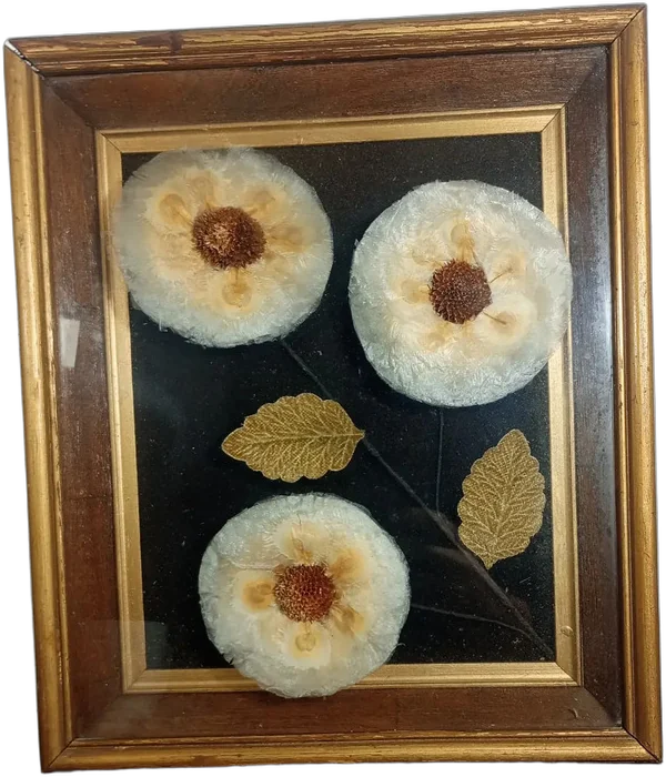 Vintage Cuadro Decorativo Artesanal Flores Deshidratadas Negro Dorado Oscuro