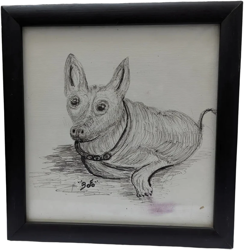 Antiguo Dibujo A Tinta Retrato De Perro Bobo