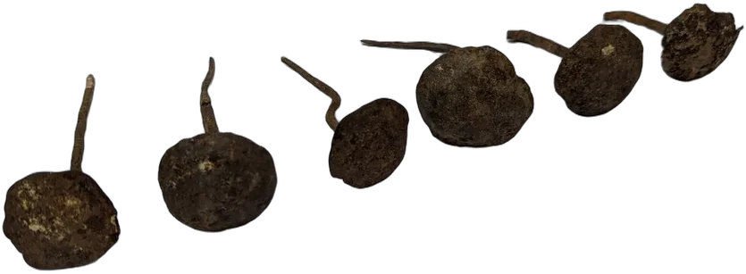 Antiguo Lote De Clavos Coloniales Forjado A Mano Siglo Xviii 5 Cm 6 Cm