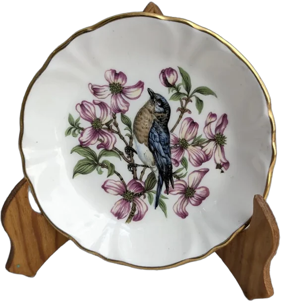 Vintage Plato Decorativo Royal Windsor Porcelana Inglesa Blanco Con Detalles Dorados Y Multicolor (floral Y Pájaro) Aves Y Flores